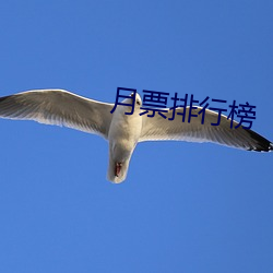 月票排(pái)行(xíng)榜