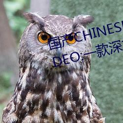国产CHINESE体育(育)生(生)GAYTUBEVIDEO:一款(款)深夜(夜)必(必)备的观影神器(器)