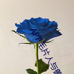 APP毛片人与兽毛片 （酸咸苦辣）
