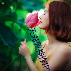 天海翼神(神)作(作)IPX