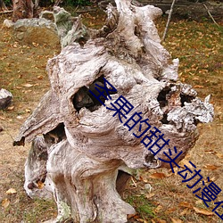 尊龙凯时-人生就是搏!