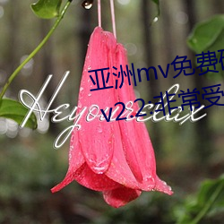 亞洲mv免費磚碼區2022永久入口 v2.2:非常受歡迎的視頻軟件