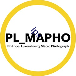 ipx