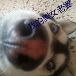 我的(的)美女(女)老婆