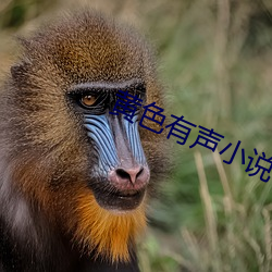 黃色有聲小說