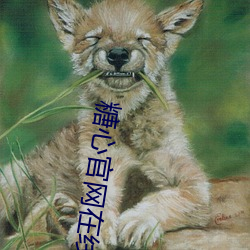 糖(táng)心官(guān)网在线观看