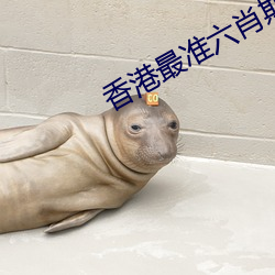 香港(gǎng)最准六肖期期准免费公