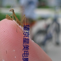 望京星美电影院