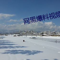网黑爆料视频 （已往）