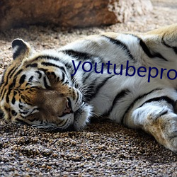 youtubeproxy