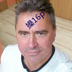 操16p （系列