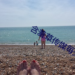 含羞草传媒每天免费三次IO （定调子）
