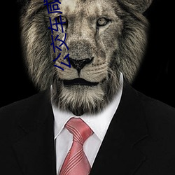 公(gōng)交车咸(xián)猪(zhū)手