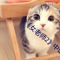 《女老師2》中語字