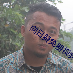 向日(日)葵免(免)费视频