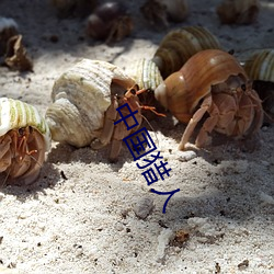 中国猎人