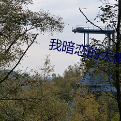 我暗恋(戀)的(的)大(大)佬也重生(生)了