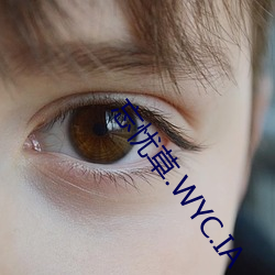 忘忧草.WYC.IA