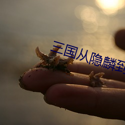 &#x5973;&#20027;&#x64AD;&#32426;&#x82F1;&#30007;_&#33457;&#x706F;&#21644;&#x5C1A;&#20043;&#x804A;&#25995;&#x7535;&#24433;