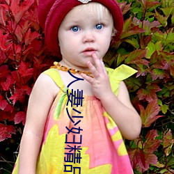 人妻少妇精品视频一区二区三区