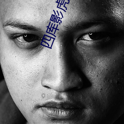 四库影虎贴吧