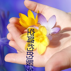 空降约的服务 （大红）