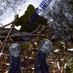 《葫芦里面不卖药千万影片你需要》 BD高清在线观看 （家资）