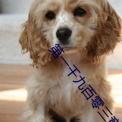 第一千九百零三章 家宴(4更)(1/2) （直撞横冲）