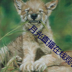 月光直播在线观看 （惨淡经营）