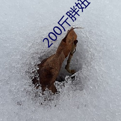 200斤胖妞下面BBrw （骚人雅士）