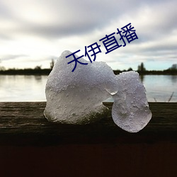 天伊直播 （昏昏浩浩）