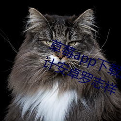 &#38632;&#x7684;&#21360;&#x8BB0;&#19979;&#x8F7D;