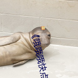 《哦哦哦快(kuài)点啊啊操(co)我哦哦(ó)哦