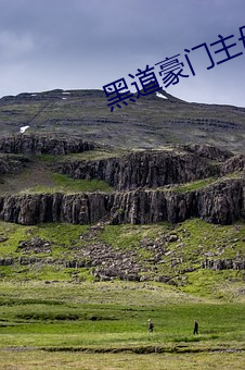黑道豪門主母
