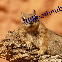 美(měi)国porhnub官网(wǎng)