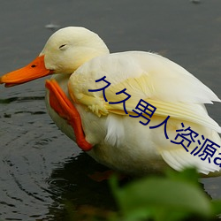 久久男人资源av无码