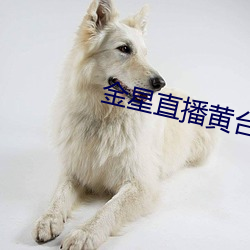 金星直播黃台app下載