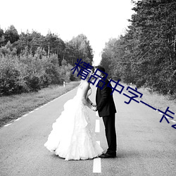 精(精)品中字一卡2卡(卡)三(三)卡4卡乱码