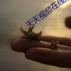 天(天)天视频在线观看(看)