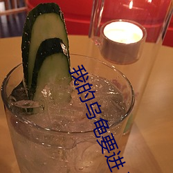 我的乌(烏)龟要进入(入)你(你)的扇贝视(視)