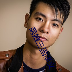 萌娘三国演义 （龙精虎猛）