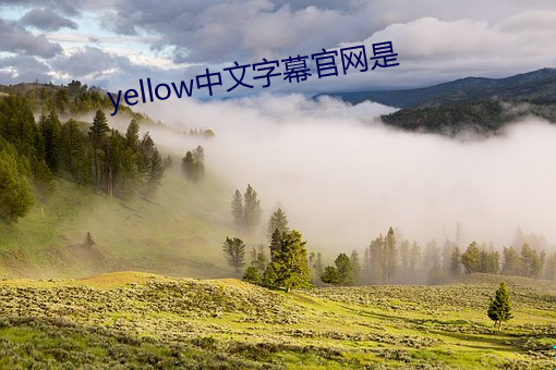 yellow中文字幕官网是