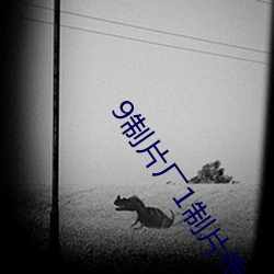 9制片厂1制片传媒在线播放1