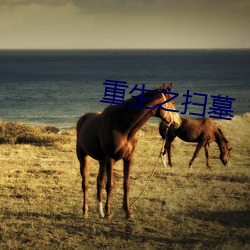 重生之(zhī)扫墓