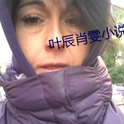 叶辰肖雯小说