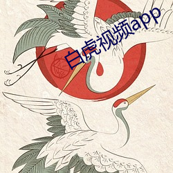 白(白)虎视(視)频app