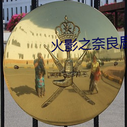 火影之奈良鹿丸 （沈舟破釜）