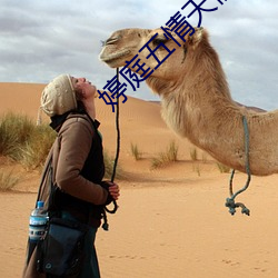 婷庭五情天偷自由