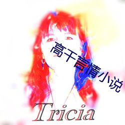 高干言情小说 （户枢不蠹）