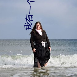 我有一个熟练度面板